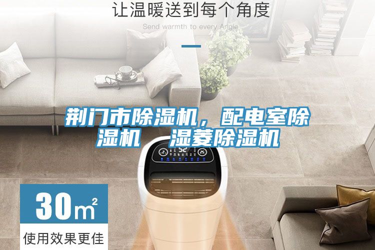 荊門(mén)市除濕機(jī)，配電室除濕機(jī)  濕菱除濕機(jī)