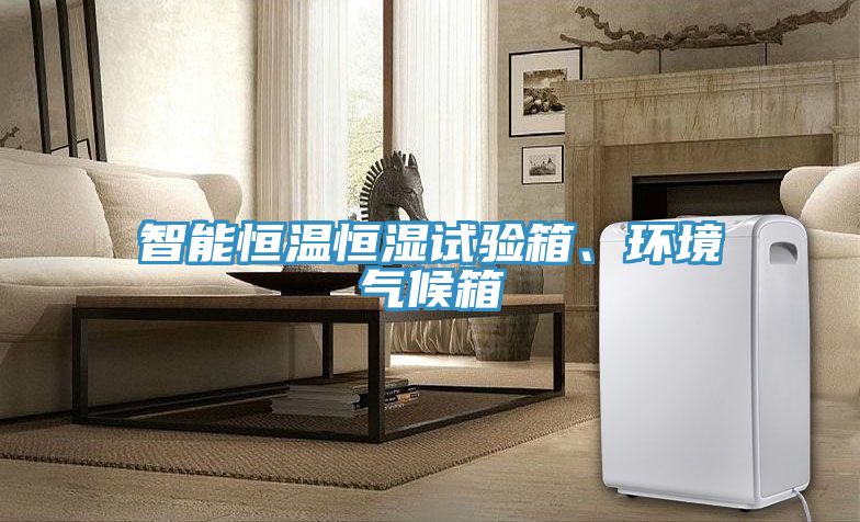 智能恒溫恒濕試驗箱、環(huán)境氣候箱