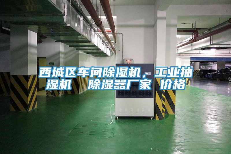 西城區(qū)車間除濕機，工業(yè)抽濕機  除濕器廠家 價格