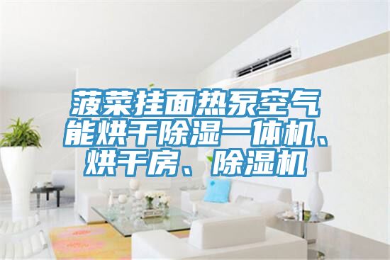 菠菜掛面熱泵空氣能烘干除濕一體機(jī)、烘干房、除濕機(jī)