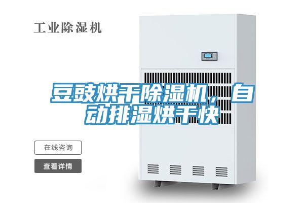 豆豉烘干除濕機，自動排濕烘干快