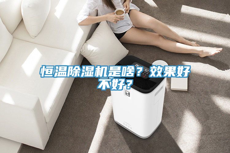 恒溫除濕機(jī)是啥？效果好不好？