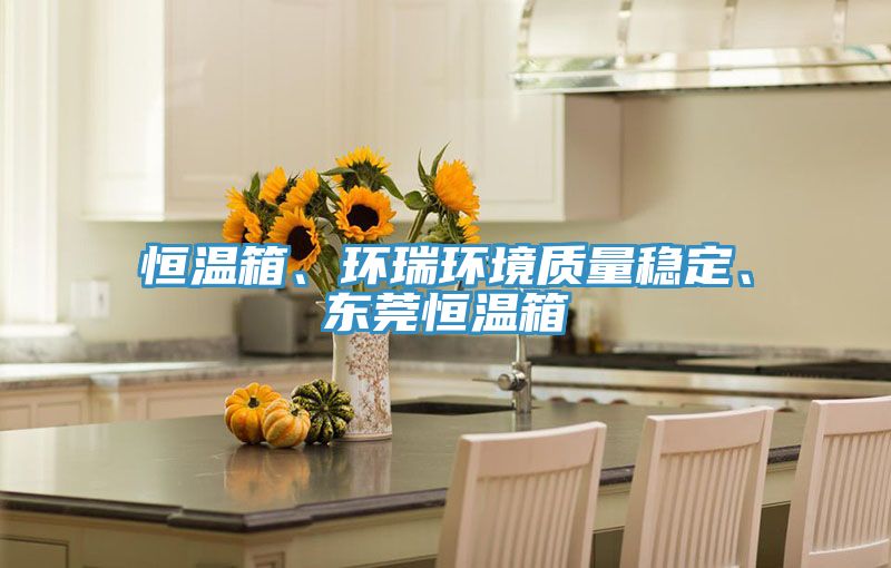 恒溫箱、環(huán)瑞環(huán)境質(zhì)量穩(wěn)定、東莞恒溫箱