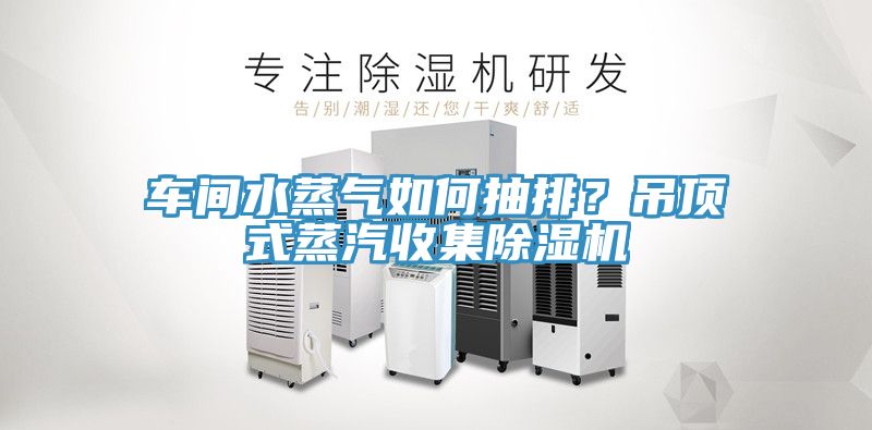 車間水蒸氣如何抽排？吊頂式蒸汽收集除濕機(jī)