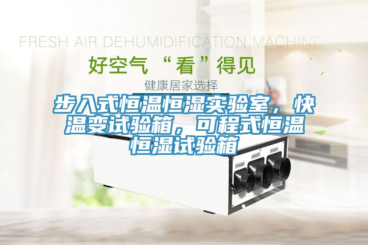 步入式恒溫恒濕實(shí)驗(yàn)室，快溫變試驗(yàn)箱，可程式恒溫恒濕試驗(yàn)箱