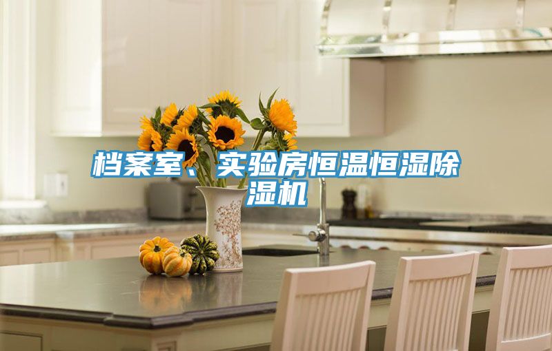 檔案室、實驗房恒溫恒濕除濕機