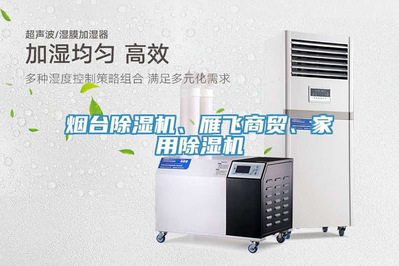 煙臺除濕機、雁飛商貿(mào)、家用除濕機