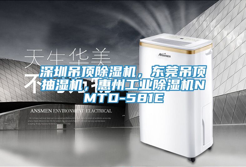 深圳吊頂除濕機，東莞吊頂抽濕機，惠州工業(yè)除濕機NMTD-581E