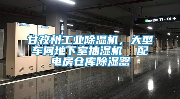 甘孜州工業(yè)除濕機(jī)，大型車間地下室抽濕機(jī)  配電房倉庫除濕器