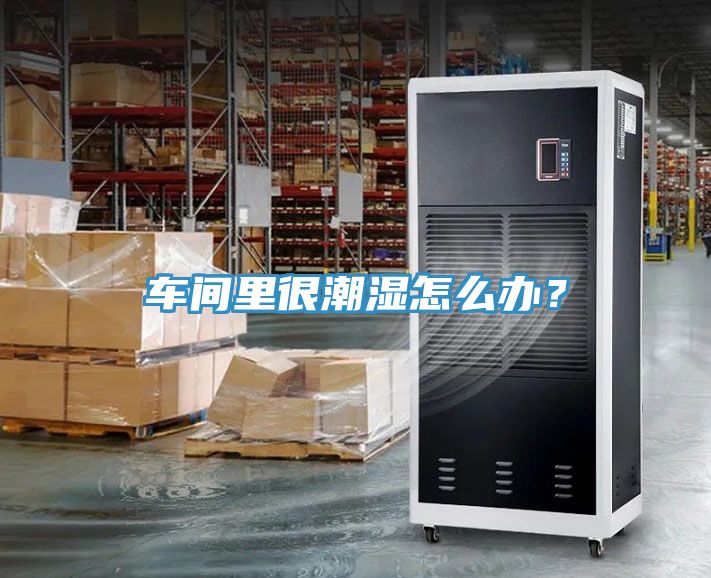 車間里很潮濕怎么辦？