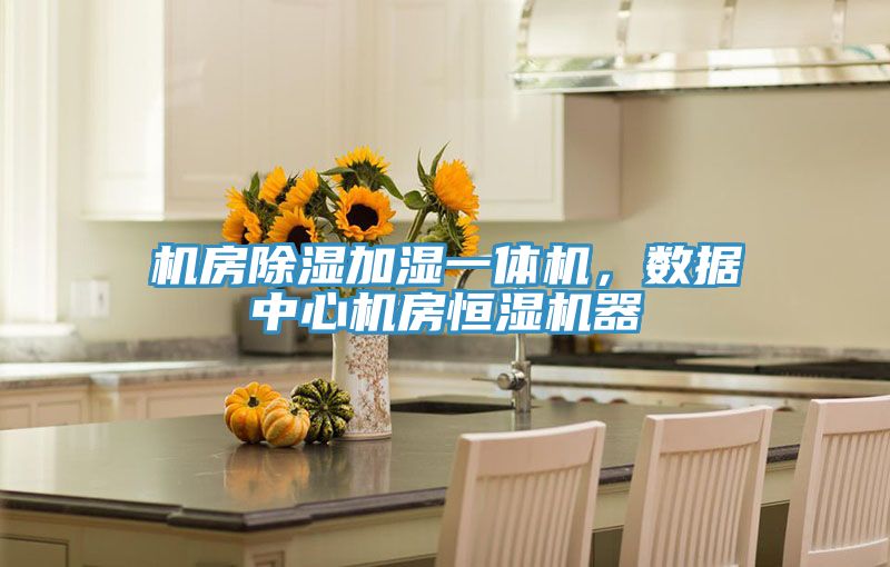機(jī)房除濕加濕一體機(jī)，數(shù)據(jù)中心機(jī)房恒濕機(jī)器