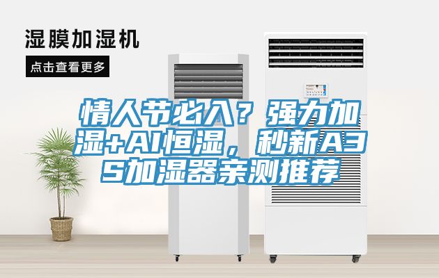 情人節(jié)必入？強(qiáng)力加濕+AI恒濕，秒新A3S加濕器親測(cè)推薦