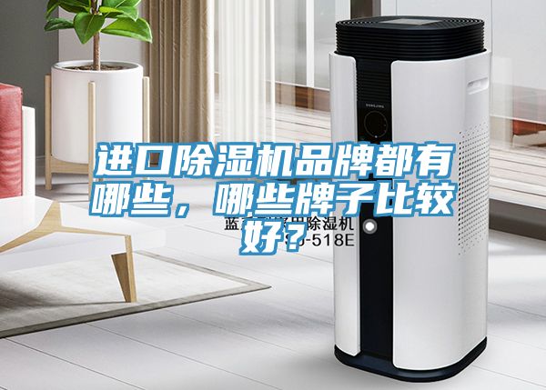 進(jìn)口除濕機(jī)品牌都有哪些，哪些牌子比較好？