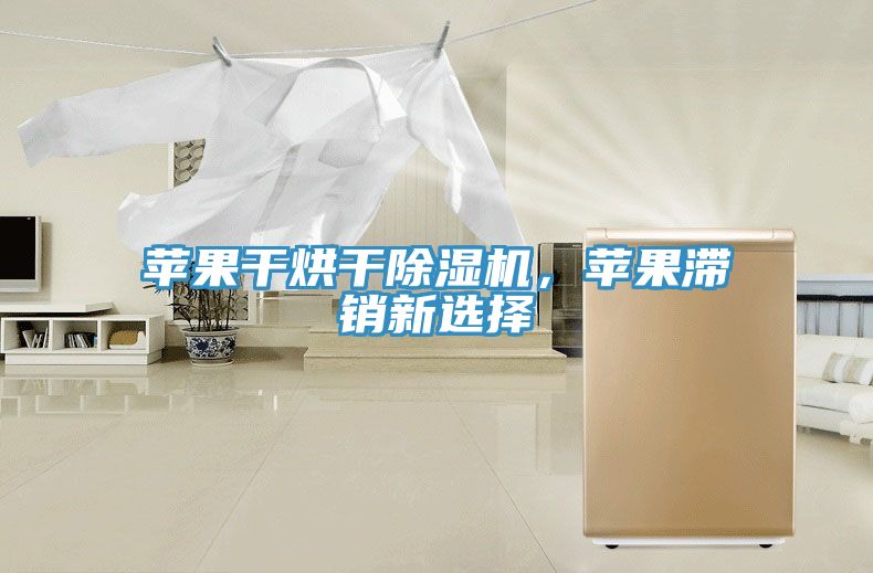 蘋(píng)果干烘干除濕機(jī)，蘋(píng)果滯銷(xiāo)新選擇