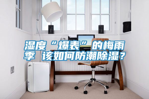 濕度“爆表”的梅雨季 該如何防潮除濕？