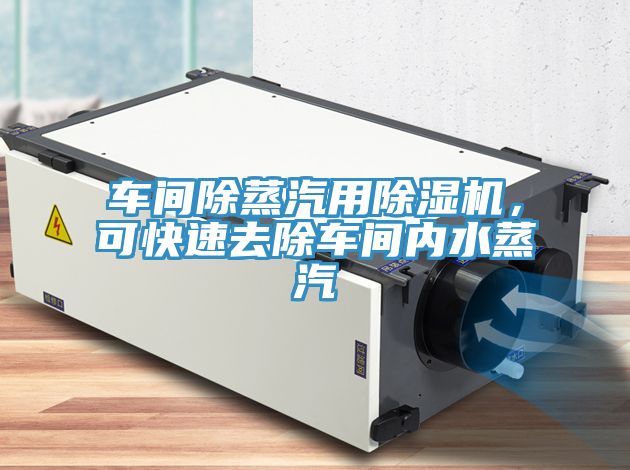 車間除蒸汽用除濕機，可快速去除車間內(nèi)水蒸汽