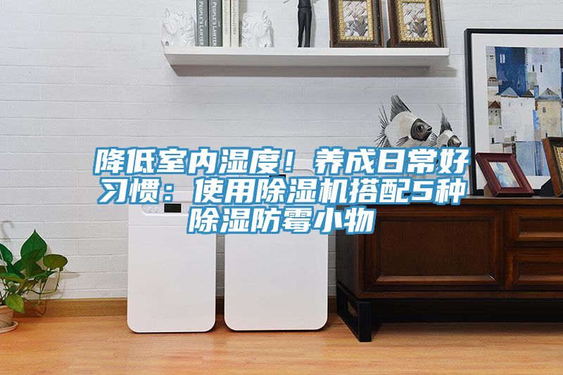 降低室內(nèi)濕度！養(yǎng)成日常好習(xí)慣：使用除濕機(jī)搭配5種除濕防霉小物