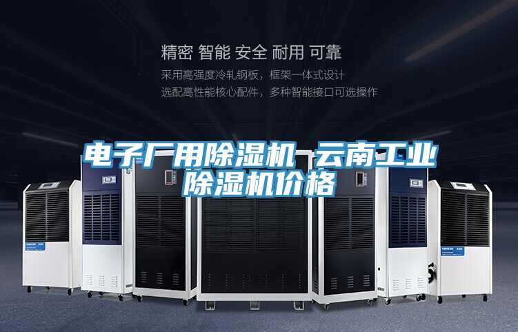 電子廠(chǎng)用除濕機(jī) 云南工業(yè)除濕機(jī)價(jià)格