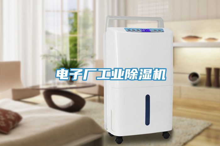 電子廠(chǎng)工業(yè)除濕機(jī)