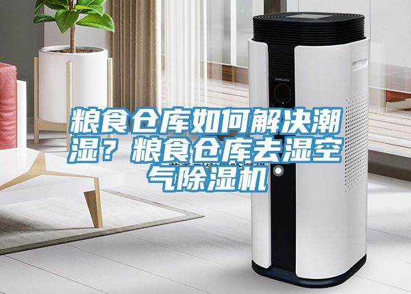 糧食倉庫如何解決潮濕？糧食倉庫去濕空氣除濕機(jī)