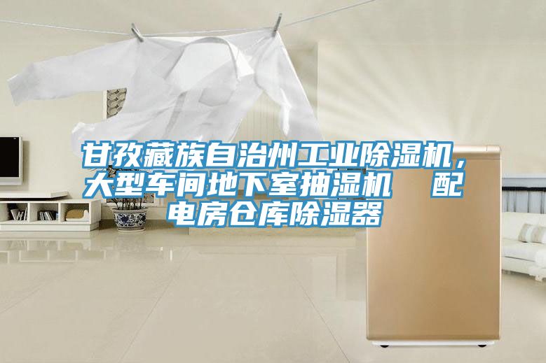 甘孜藏族自治州工業(yè)除濕機(jī)，大型車間地下室抽濕機(jī)  配電房倉庫除濕器