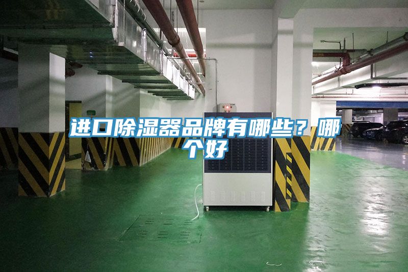 進(jìn)口除濕器品牌有哪些？哪個(gè)好