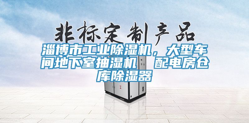 淄博市工業(yè)除濕機，大型車間地下室抽濕機  配電房倉庫除濕器