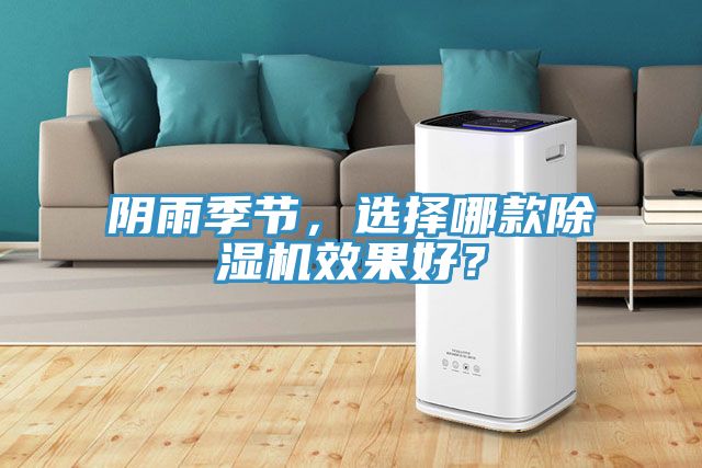 陰雨季節(jié)，選擇哪款除濕機(jī)效果好？