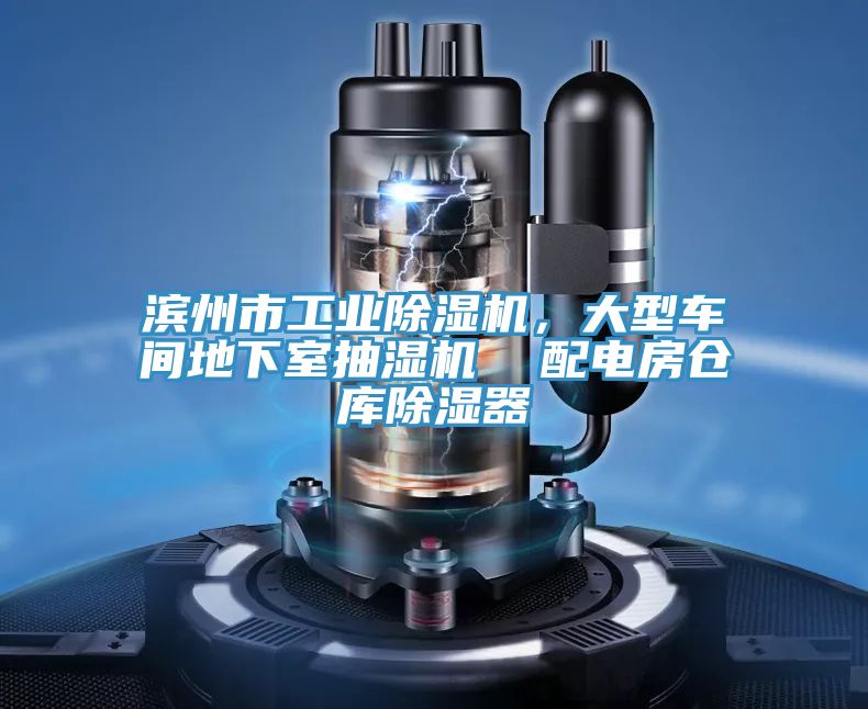 濱州市工業(yè)除濕機，大型車間地下室抽濕機  配電房倉庫除濕器