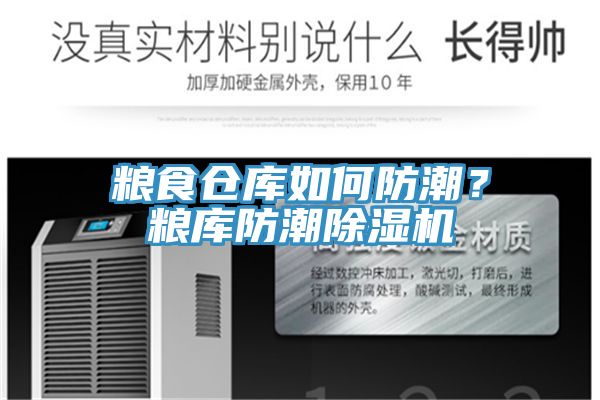 糧食倉庫如何防潮？糧庫防潮除濕機(jī)