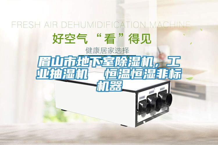 眉山市地下室除濕機，工業(yè)抽濕機  恒溫恒濕非標機器