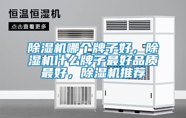 除濕機(jī)哪個(gè)牌子好，除濕機(jī)什么牌子最好品質(zhì)最好，除濕機(jī)推薦