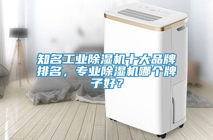 知名工業(yè)除濕機十大品牌排名，專業(yè)除濕機哪個牌子好？