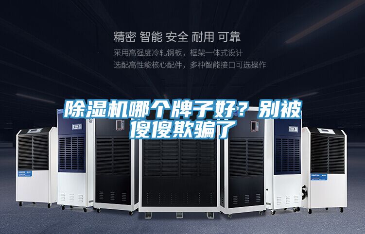 除濕機(jī)哪個(gè)牌子好？別被傻傻欺騙了