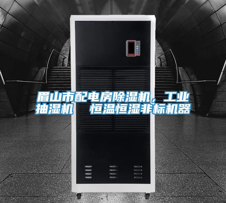 眉山市配電房除濕機，工業(yè)抽濕機  恒溫恒濕非標機器