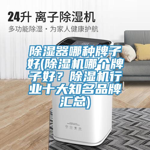 除濕器哪種牌子好(除濕機(jī)哪個牌子好？除濕機(jī)行業(yè)十大知名品牌匯總)