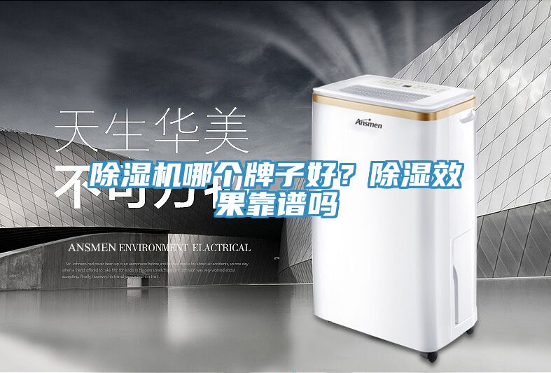 除濕機(jī)哪個(gè)牌子好？除濕效果靠譜嗎