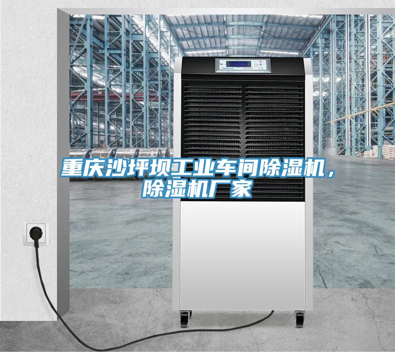 重慶沙坪壩工業(yè)車間除濕機(jī)，除濕機(jī)廠家
