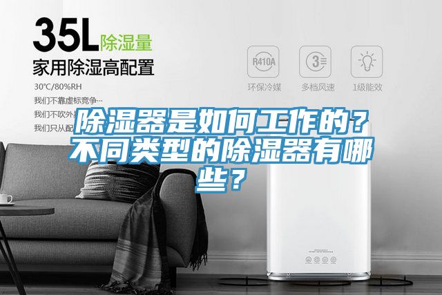 除濕器是如何工作的？不同類型的除濕器有哪些？