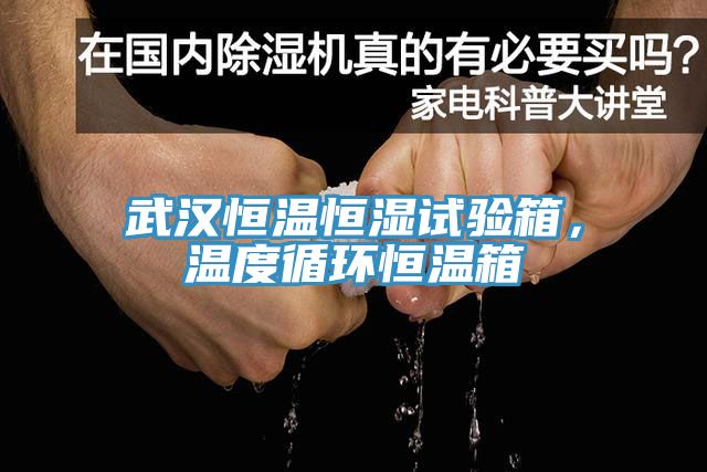 武漢恒溫恒濕試驗箱，溫度循環(huán)恒溫箱