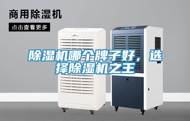 除濕機(jī)哪個(gè)牌子好，選擇除濕機(jī)之王