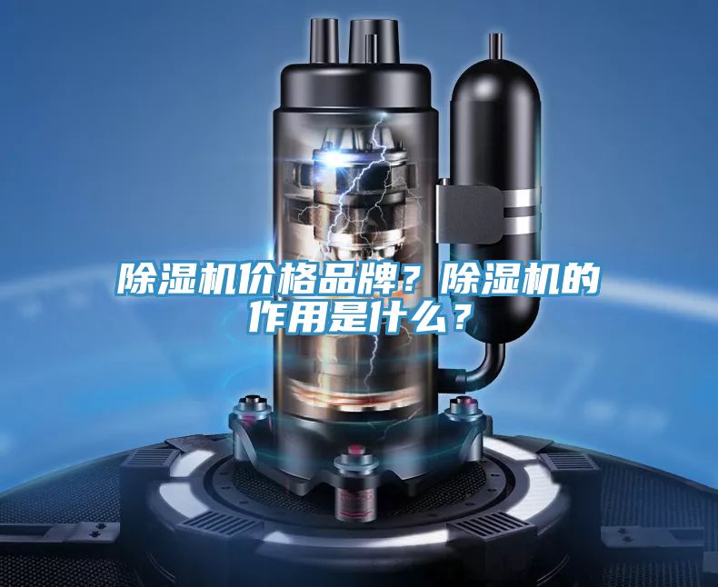 除濕機價格品牌？除濕機的作用是什么？