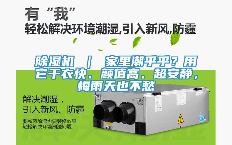 除濕機(jī) ｜ 家里潮乎乎？用它干衣快、顏值高、超安靜，梅雨天也不愁