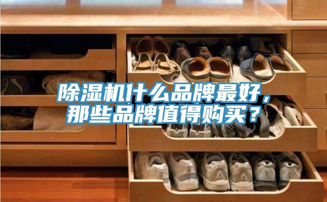 除濕機(jī)什么品牌最好，那些品牌值得購買？