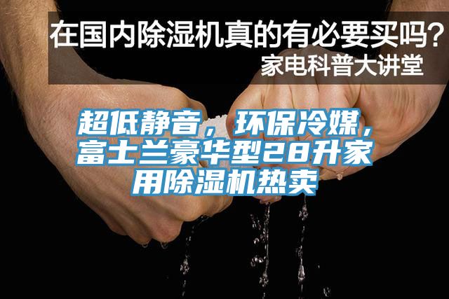 超低靜音，環(huán)保冷媒，富士蘭豪華型28升家用除濕機(jī)熱賣