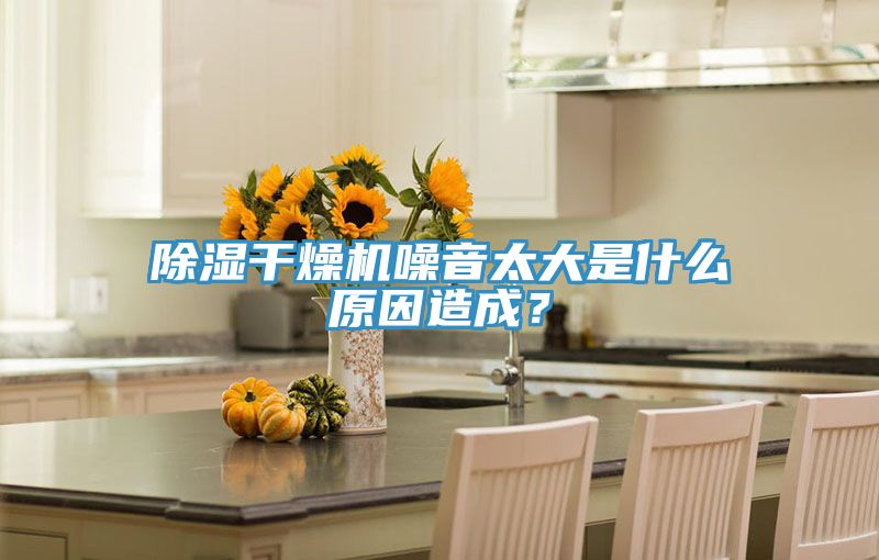 除濕干燥機(jī)噪音太大是什么原因造成？