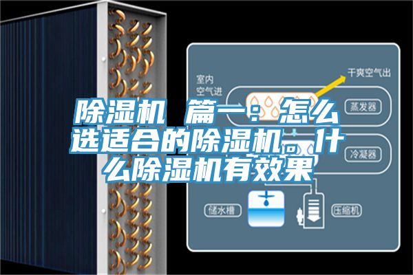 除濕機(jī) 篇一：怎么選適合的除濕機(jī)。什么除濕機(jī)有效果