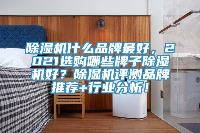 除濕機(jī)什么品牌最好，2021選購哪些牌子除濕機(jī)好？除濕機(jī)評測品牌推薦+行業(yè)分析！