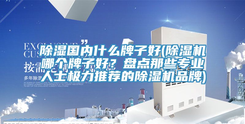 除濕國內(nèi)什么牌子好(除濕機(jī)哪個牌子好？盤點(diǎn)那些專業(yè)人士極力推薦的除濕機(jī)品牌)