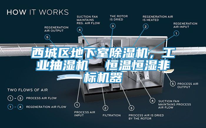 西城區(qū)地下室除濕機，工業(yè)抽濕機  恒溫恒濕非標機器
